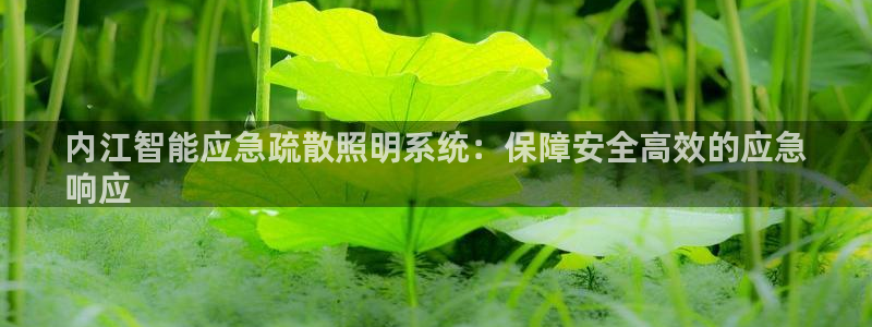 云顶国际平台违法吗?