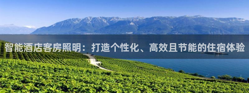 云顶国际app是什么游戏：智能酒店客房照
