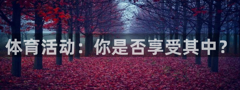 球速体育：体育活动：你是否享受其中？