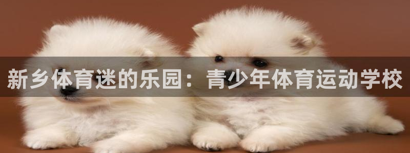 球速体育：新乡体育迷的乐园：青少年体育运动学校
