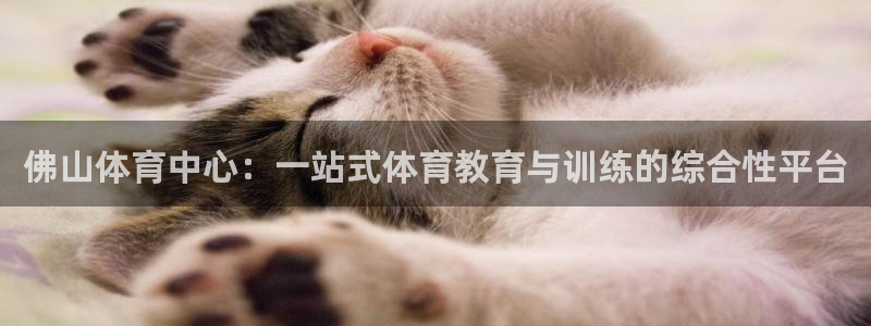 球速体育：佛山体育中心：一站式体育教育与训练的综合性平台